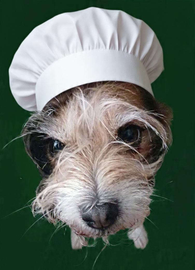 Pulgui, ayudante de cocina